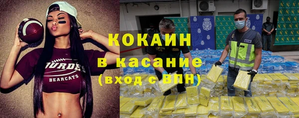 шишки Рославль